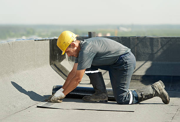 Best Commercial Insulation in King George, VA